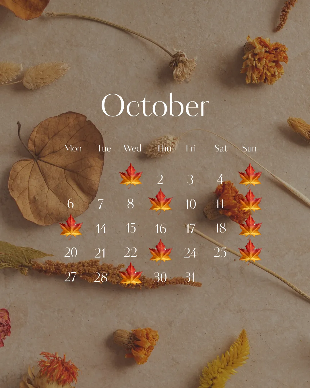 10月のお休みについて